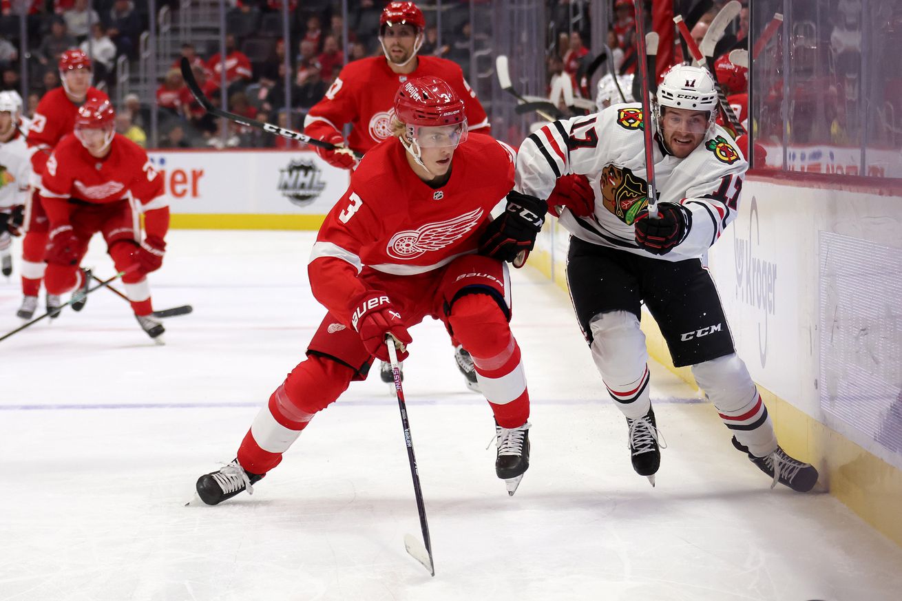 Chicago Blackhawks v Detroit Red Wings