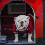 The Deep South's Oldest Rivalry