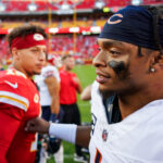 Bears Loss