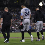 Marlins roster shuffle sends Avisail Garcia to the injured list.