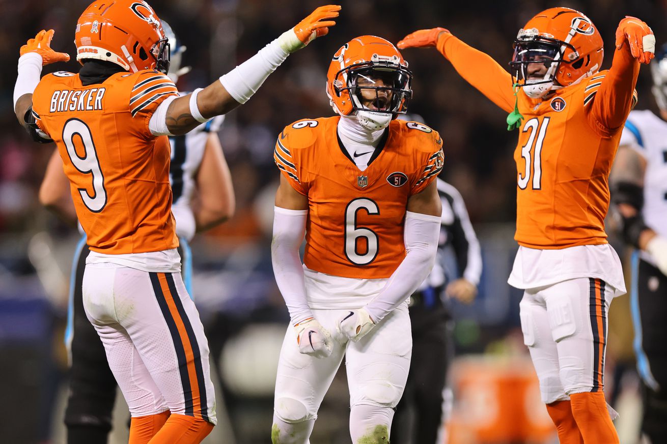 Carolina Panthers v Chicago Bears
