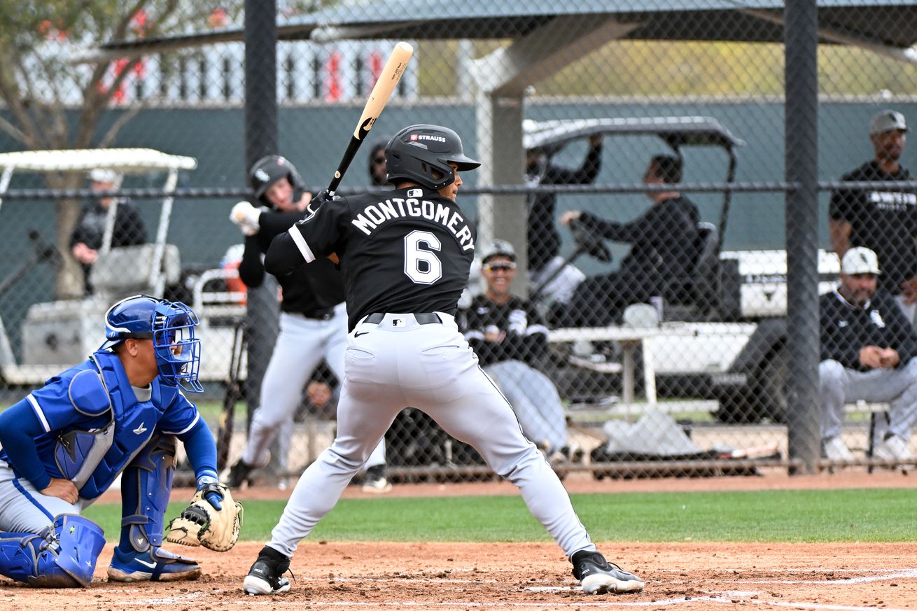 Kansas City Royals v Chicago White Sox minor leaguers