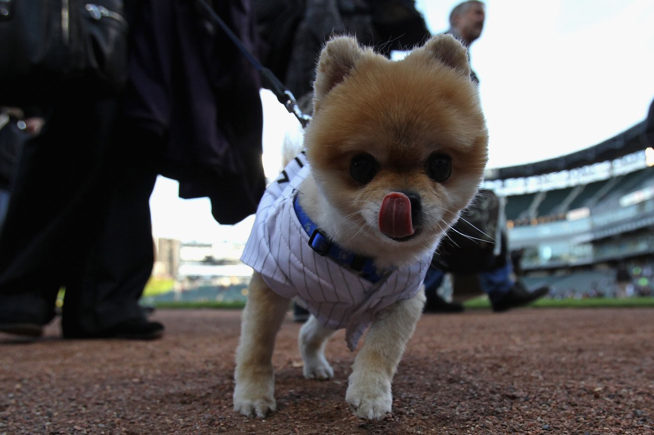 Texas Rangers v Chicago White Sox