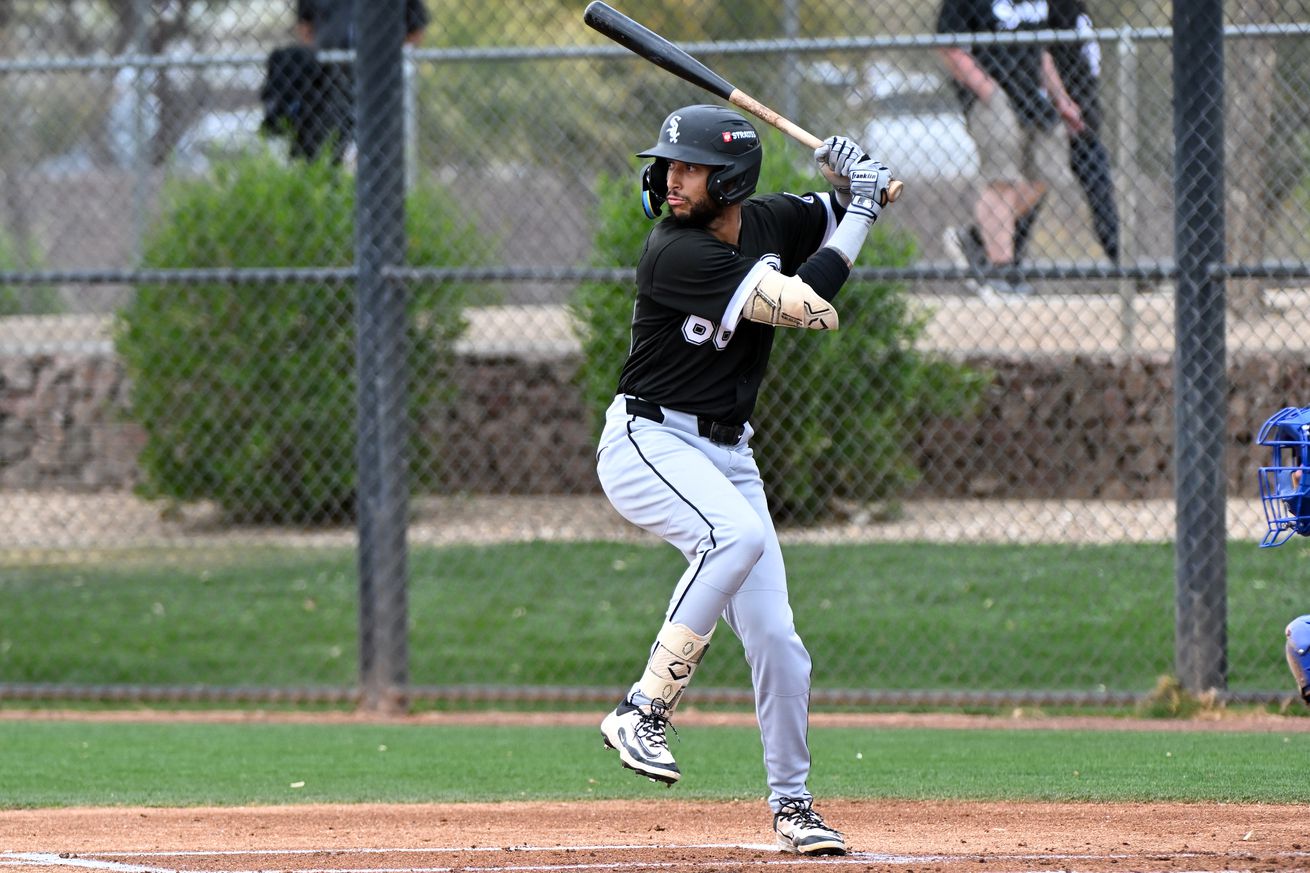 Kansas City Royals v Chicago White Sox minor leaguers