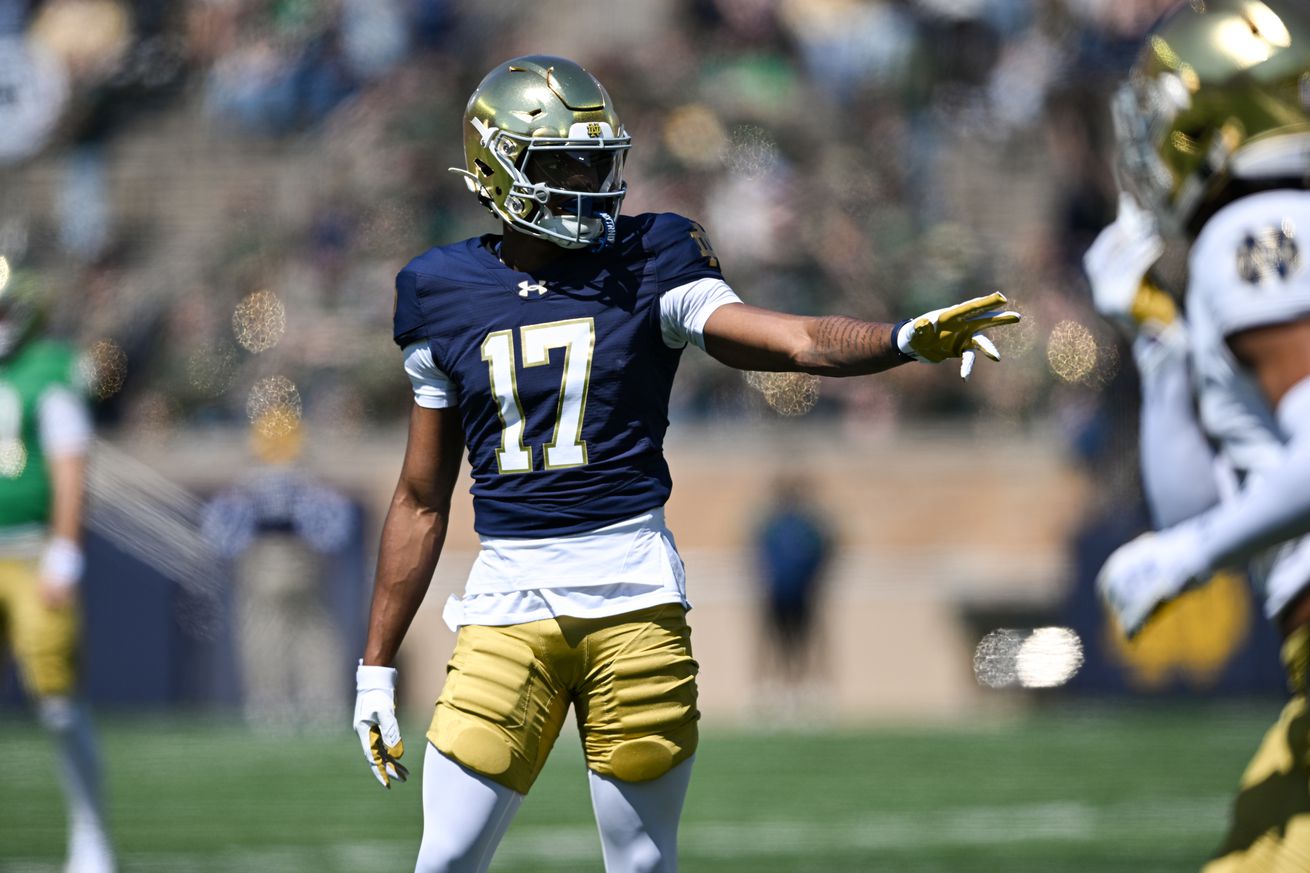 COLLEGE FOOTBALL: APR 12 Notre Dame Blue-Gold Game