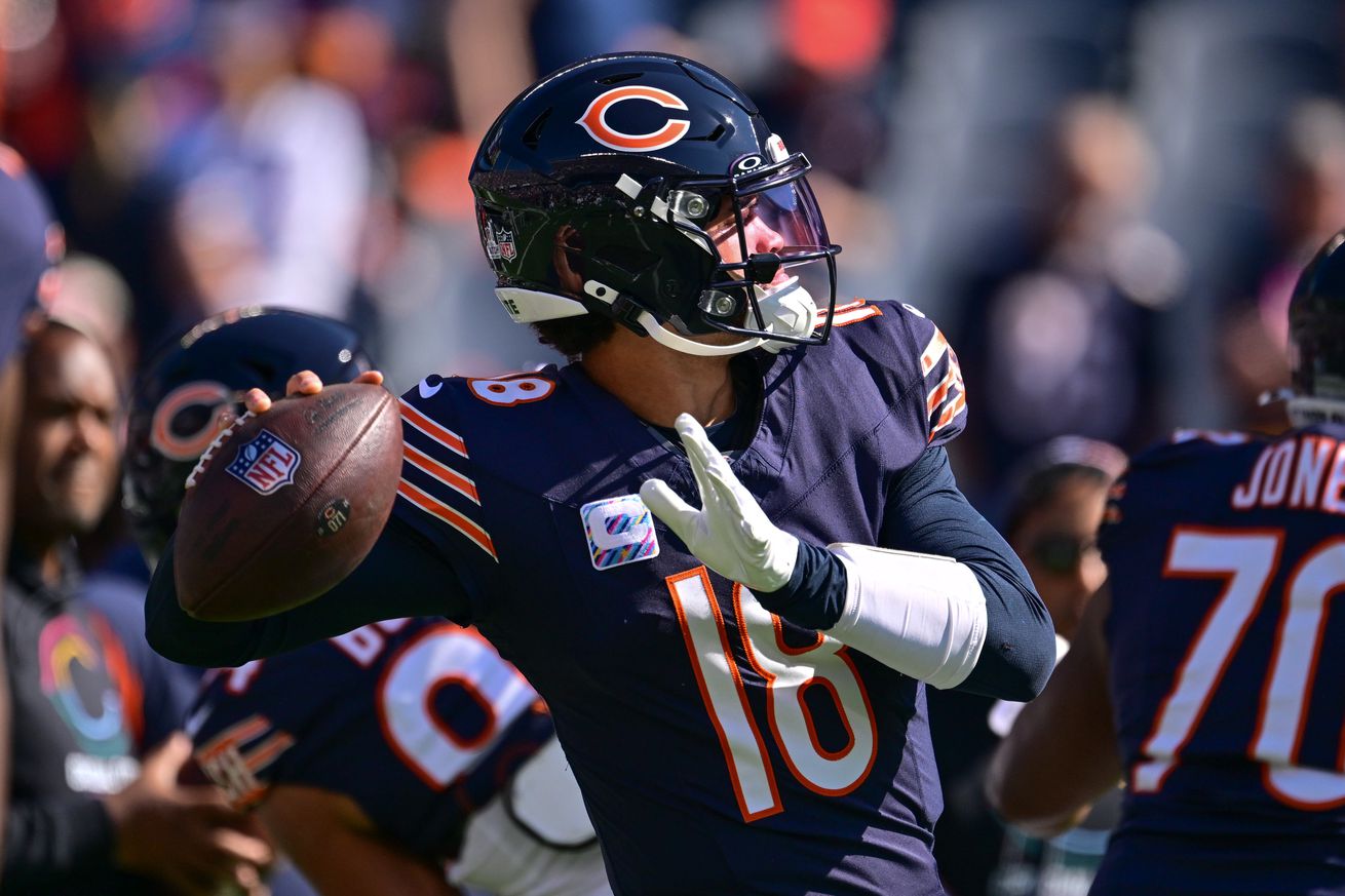 NFL: Carolina Panthers at Chicago Bears