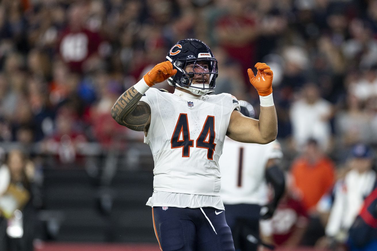 Chicago Bears v Arizona Cardinals