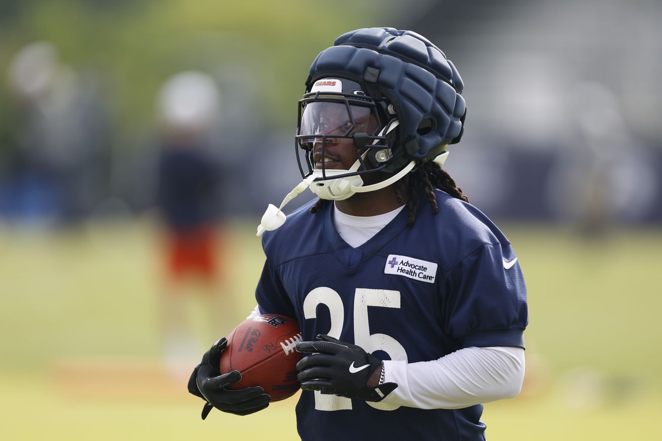 NFL: Chicago Bears Training Camp
