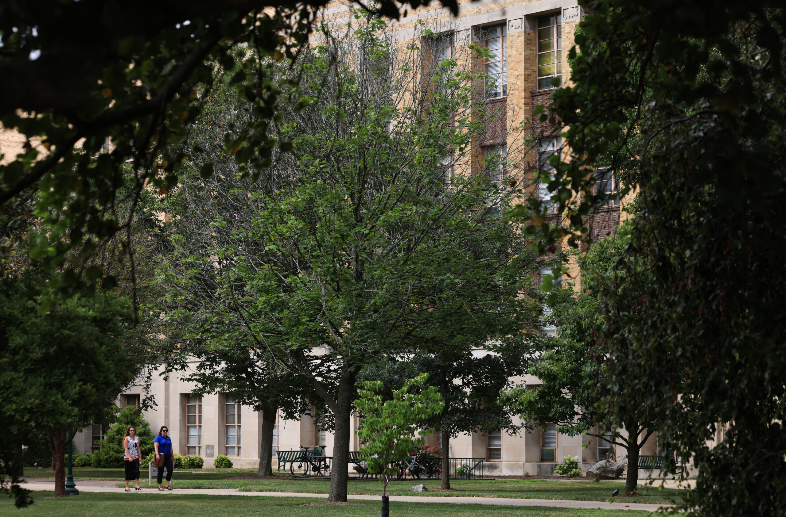 People walk through the Eastern Illinois University campus, Aug. 21,...
