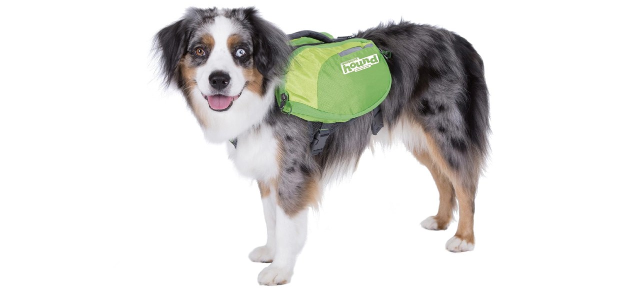 Outward Hound DayPak Dog Backpack