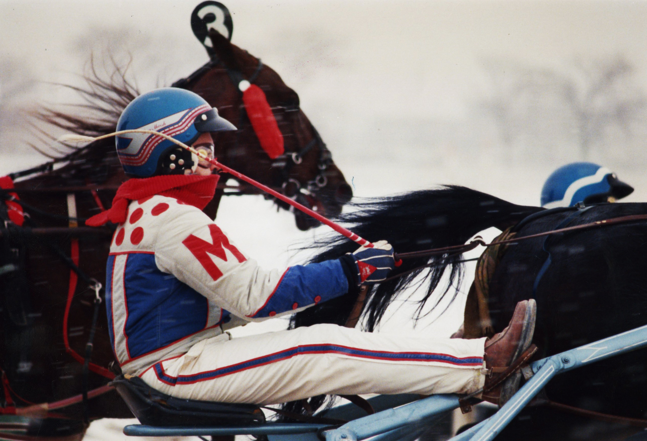 Ron Marsh drives Tiny Lassie in the first harness race...