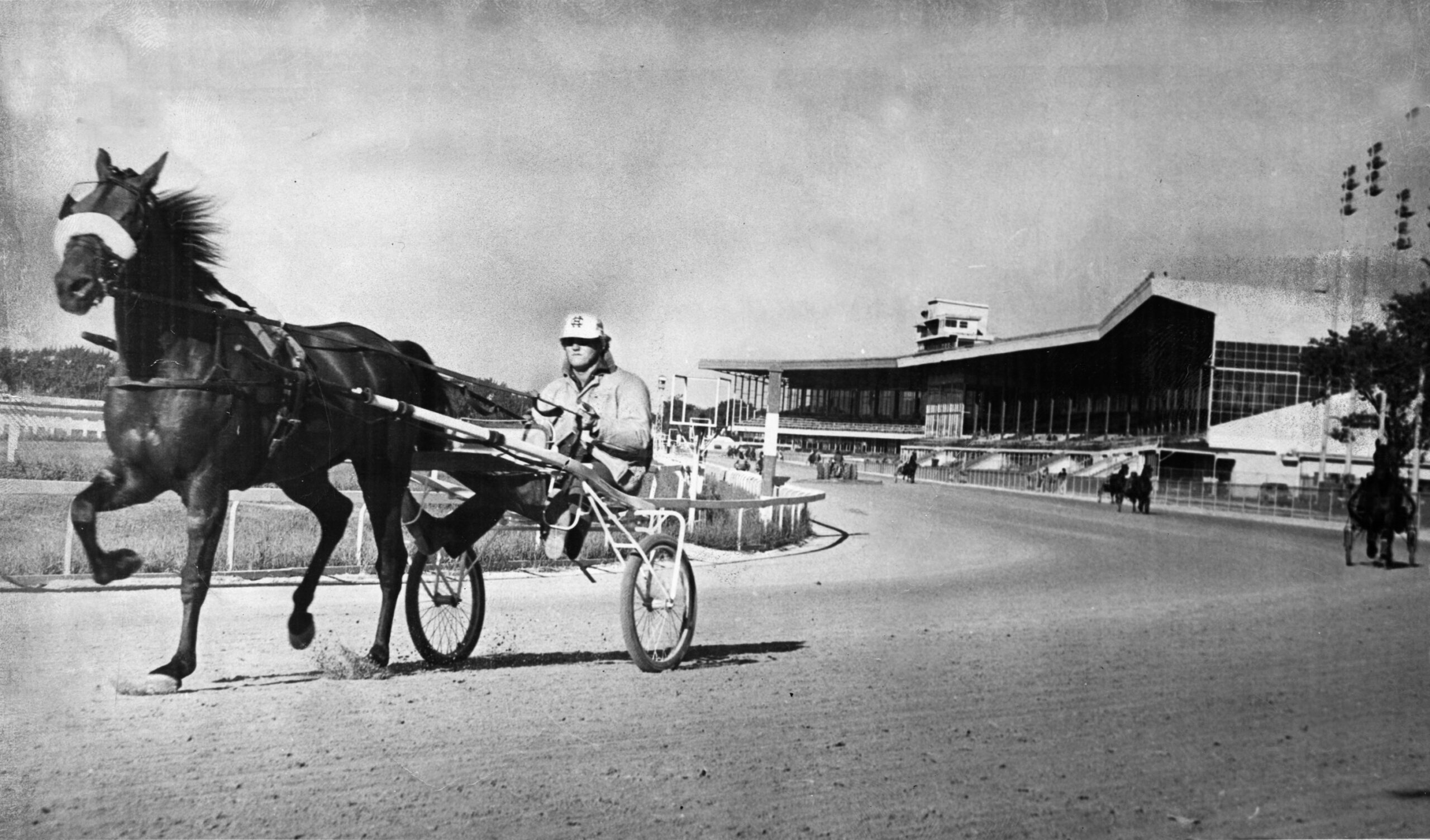 Harness rider Oliver Seems takes Horton Hanover for a workout...